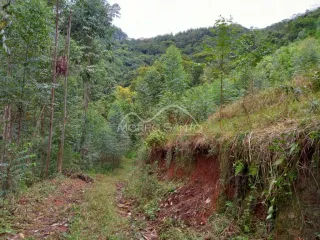 Área rural, foto 1