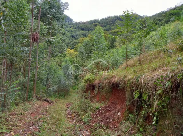 Área rural