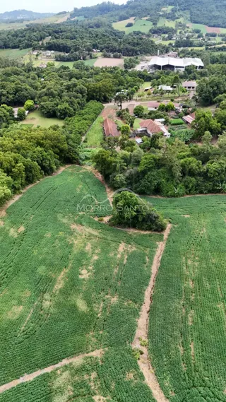 Área rural, foto 4