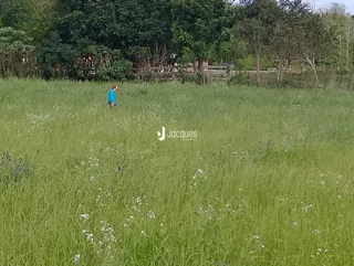 Área rural, foto 27