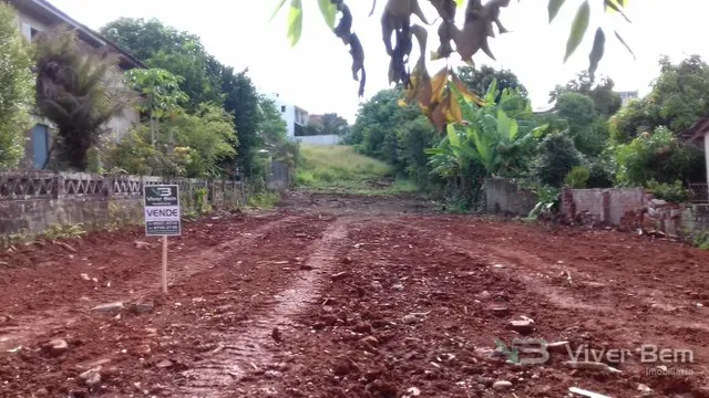 Terreno, foto 3