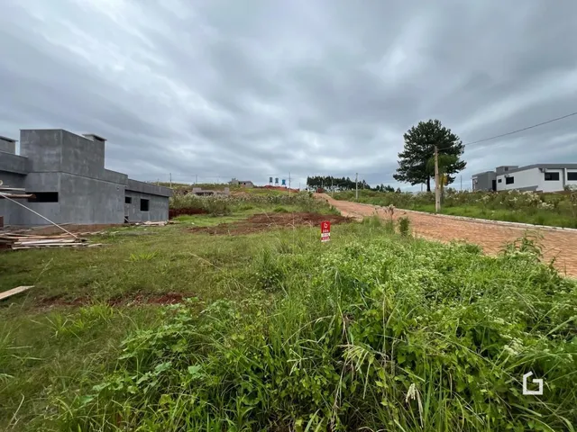 Vista externa de um terreno em Lajeado, Brasil, com vegetação alta.