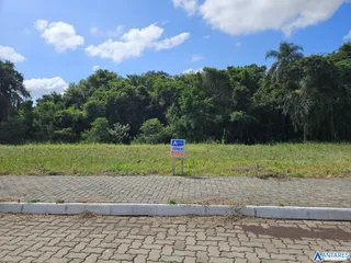 Terreno, foto 2