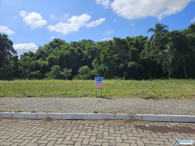 Terreno, foto 2