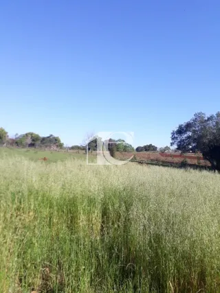 Área rural, foto 6