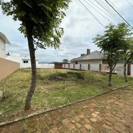 Vista externa de um terreno com grama e uma árvore em Lajeado.