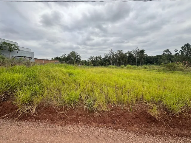 Terreno, foto 2