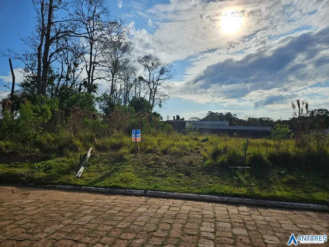 Terreno, foto 5