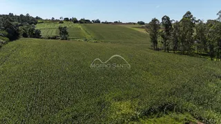 Área rural, foto 1