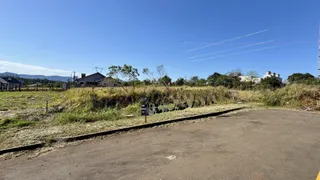 Terreno, foto 3