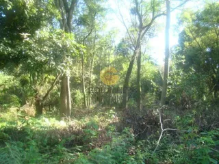 Imóvel, foto 7