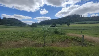 Vista panorâmica de campos verdes e colinas no interior de Lajeado.