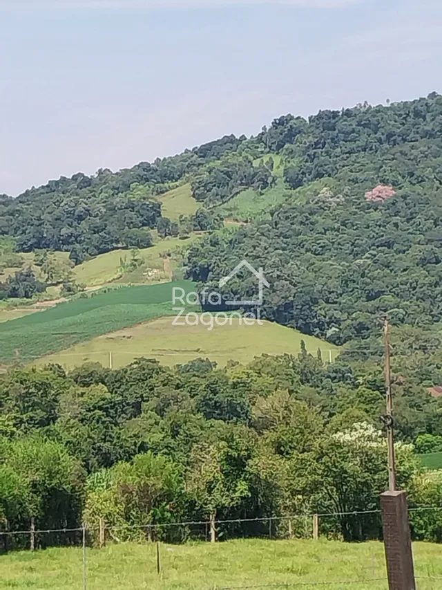 Área rural, foto 3