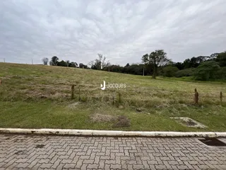 Terreno, foto 5