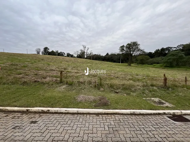 Terreno, foto 5