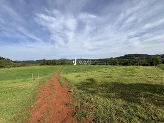 Vista de um campo verde com um caminho de terra atravessando a paisagem.