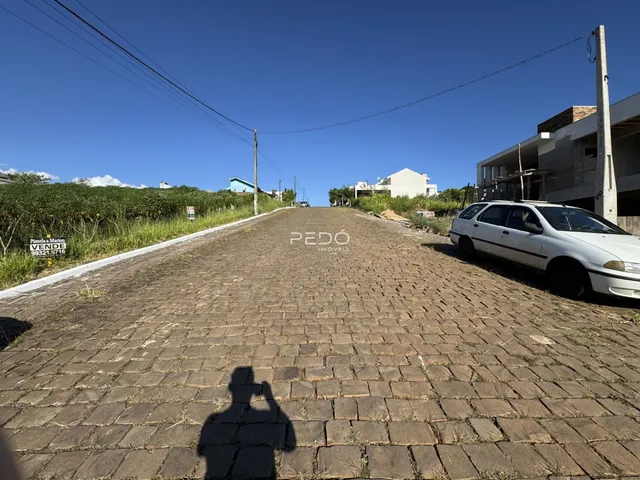 Terreno, foto 3