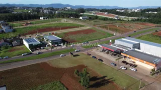 Terreno, foto 3