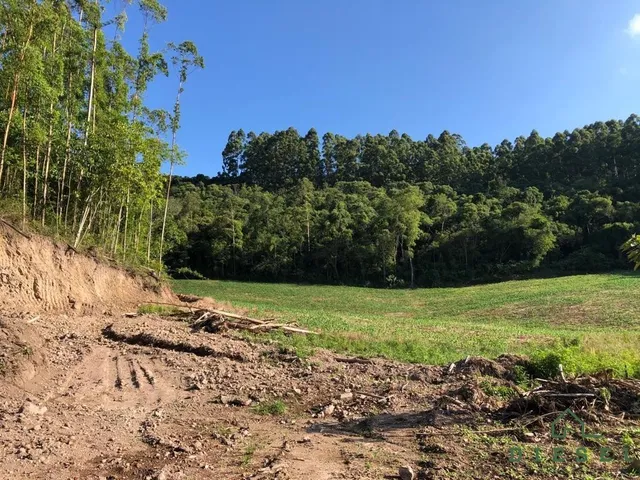 Terreno, foto 3