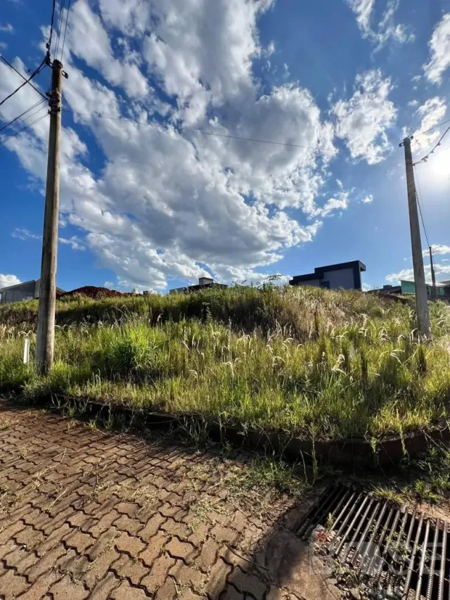 Terreno, foto 4