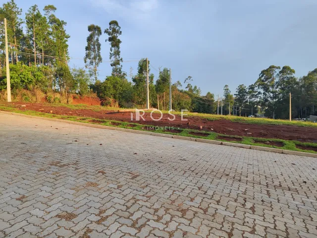 Terreno, foto 5