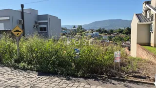Terreno, foto 6