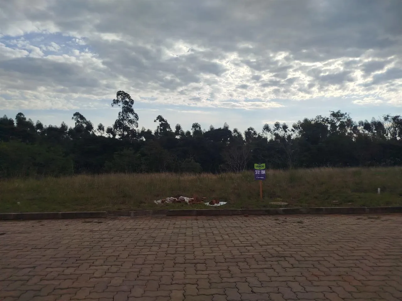 Terreno, foto 1