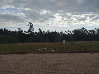 Terreno, foto 1