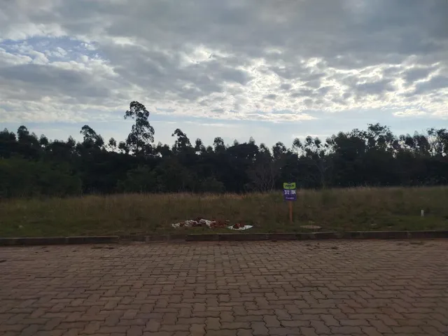 Terreno