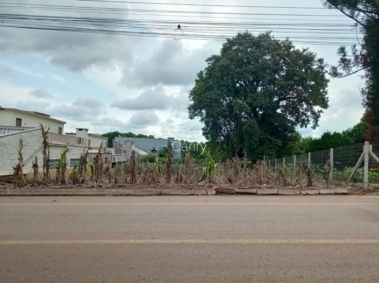 Terreno, foto 1