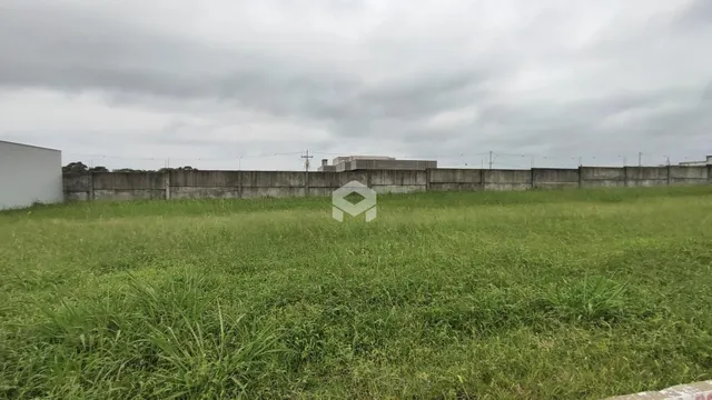 Vista de um campo de grama com uma parede de fundo.