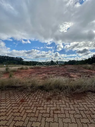 Terreno, foto 5