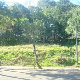 Terreno, foto 3