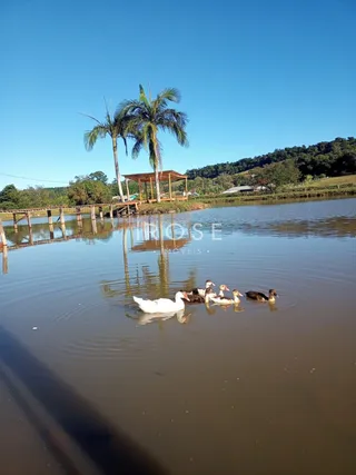 Área rural com 2 dormitórios, foto 5
