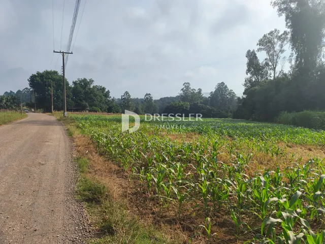 Área rural, foto 3
