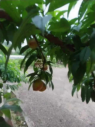 Área rural com 4 dormitórios, foto 7