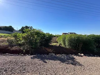 Vista de um terreno com vegetação densa sob um céu azul claro.