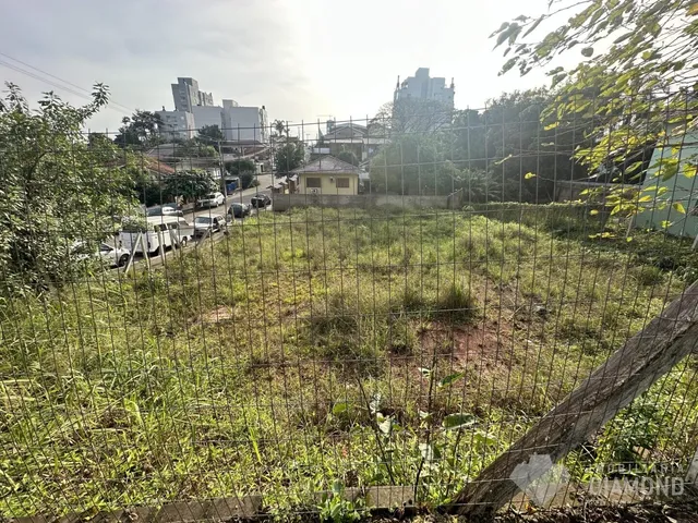 Terreno, foto 4