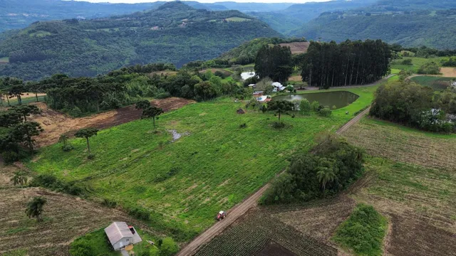 Área rural com 3 dormitórios, foto 4