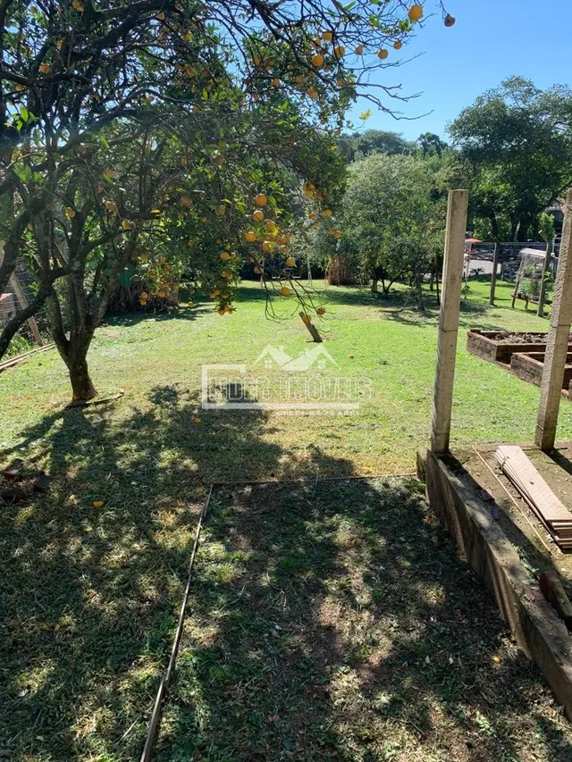 Terreno, foto 3