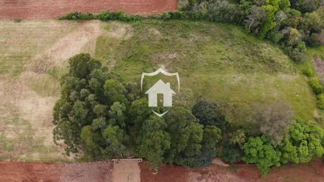 Terreno, foto 5