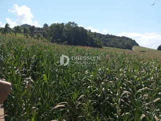 Área rural, foto 4
