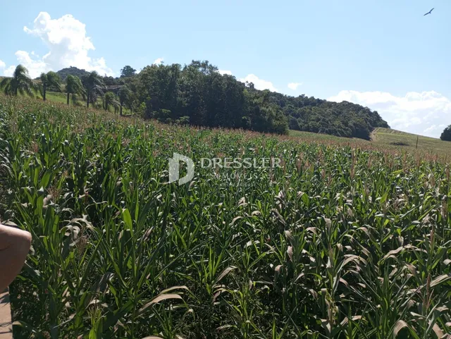 Área rural, foto 4