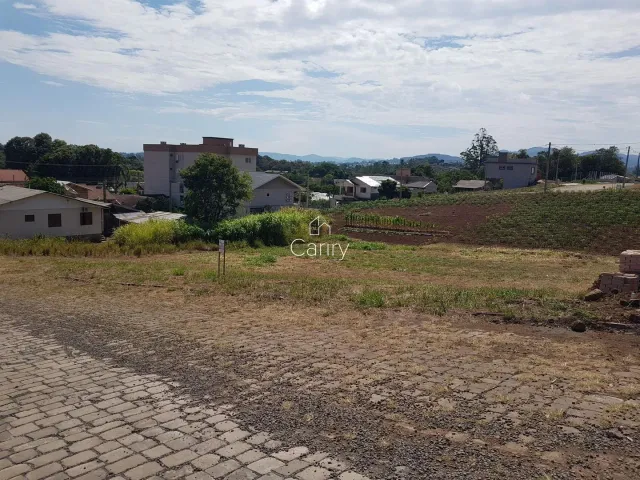Terreno