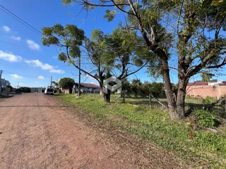 Vista da estrada de terra em Lajeado, Brasil, com vegetação densa ao longo da via.