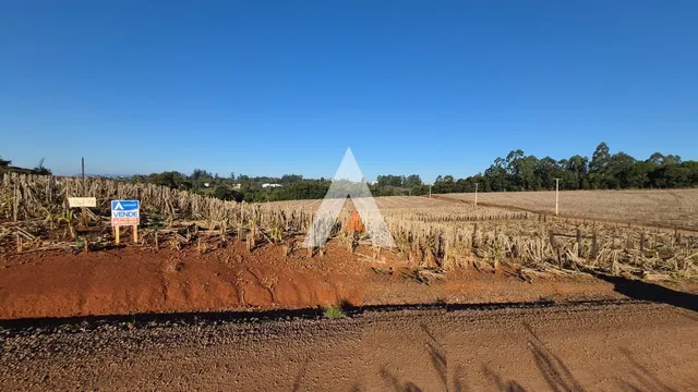 Terreno, foto 2