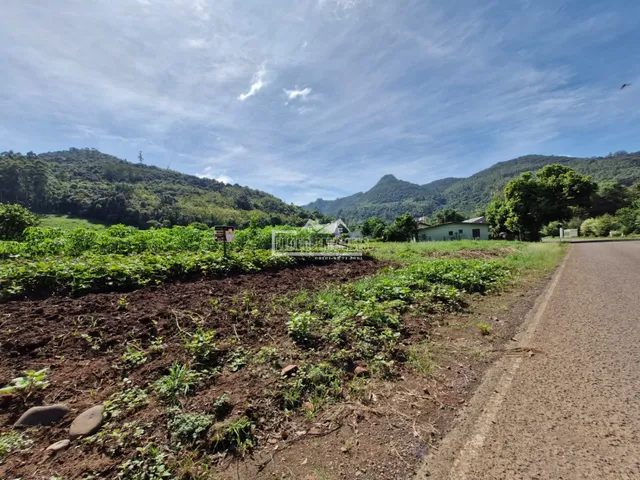 Terreno, foto 2