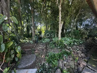 Área rural com 3 dormitórios, foto 8