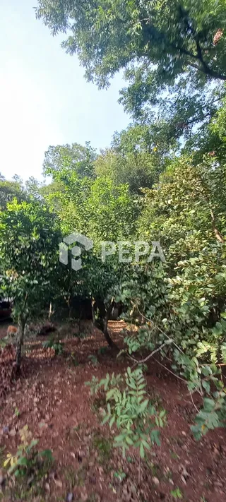 Área rural, foto 9