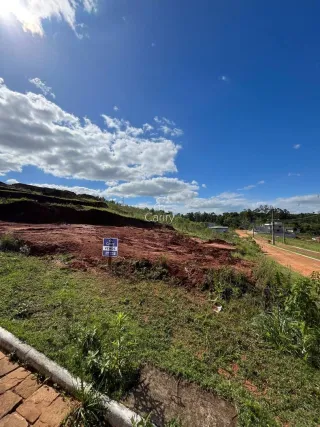 Terreno, foto 3